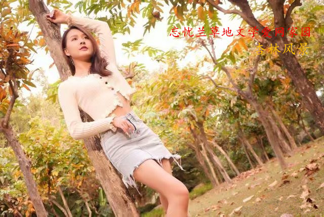 ˼  Ͻ 001114k2y0ee2c6dl13ned