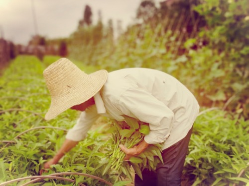 ҵϵ ҵ,ϵ ԭ׷ 180403vb9jxxiimpmv97jp