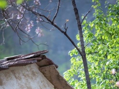 ŮһȽ:ף Ů,һȽ,, ɢ 175902cjfwtnp9ewfrj1eg