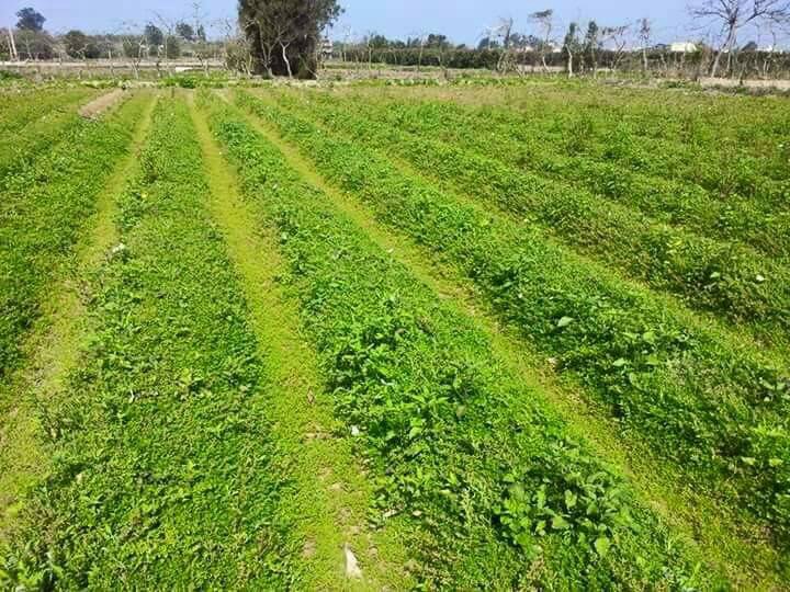 src=http _www.newsmarket.com.tw_shop_files_2015_03_IMG_1279.jpg&refer=http _ww.jpg src=http _www.newsmarket.com.tw_shop_files_2015_03_IMG_1279.jpg&refer=http _ww.jpg