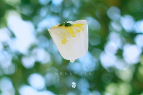 ΪȤ ,Ȥ  151916lv5ffukovzbb5du1