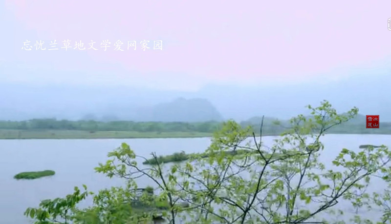 Է һף ,һ Ͻ 162819lkkv77ci74swsw7n