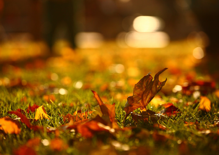 src=http _img0.ph.126.net_EPEvr5Pd8eEpWtwuyRcIFg==_6631364633839287765.jpg&ref.jpg src=http _img0.ph.126.net_EPEvr5Pd8eEpWtwuyRcIFg==_6631364633839287765.jpg&ref.jpg