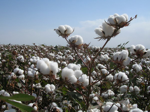 һׯڽ̸ ׯ,̸ ִʫ 213325srr3l4ru254qzz2i