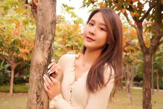  ף , ִʫ 215515mt5192912229xx19