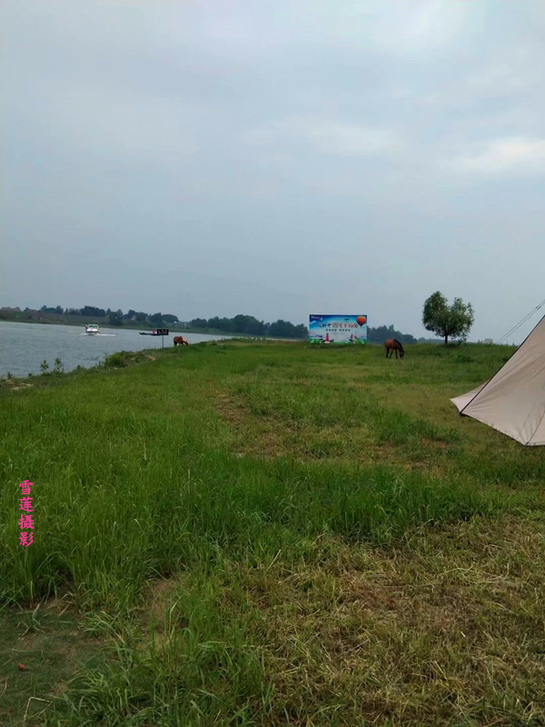 ǣ  Ͻ 234450igssxwtzoo1wgowf