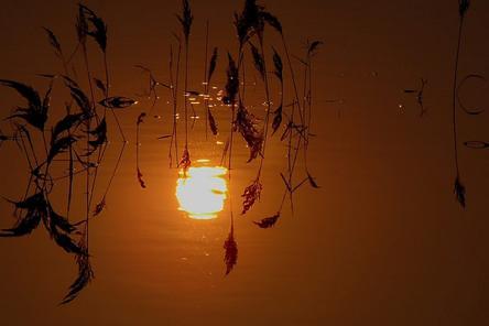 Ҷ쳾 쳾 ɢ 172018cfqt4pan3j3n3naq