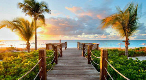 įɢʫһ飩 į,ɢʫ ִʫ 212044q7hbyhdxdf1xdd1p