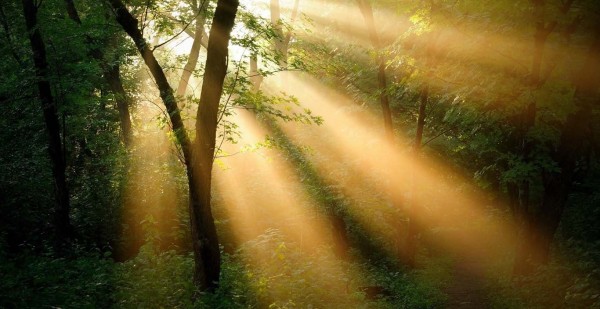 ĸѽ  ƪС˵ 074654ylrhdvssgoavagor