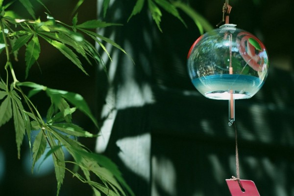 ī쳾 ī,쳾 ɢ 162621b3yxn36znnx3bbzt