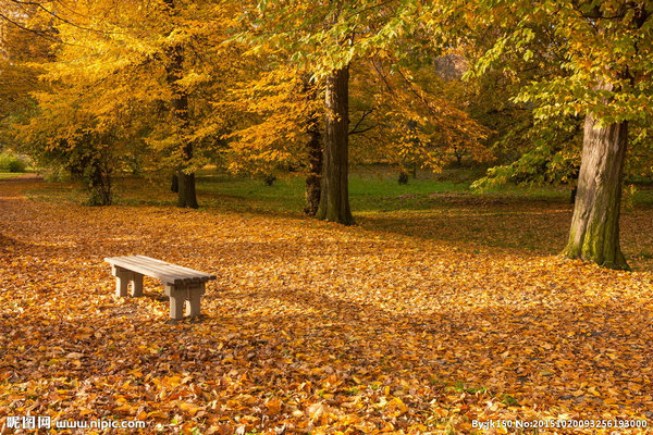 һԻ    Ͻ 130646b0cu0i3ov2x0i2ku