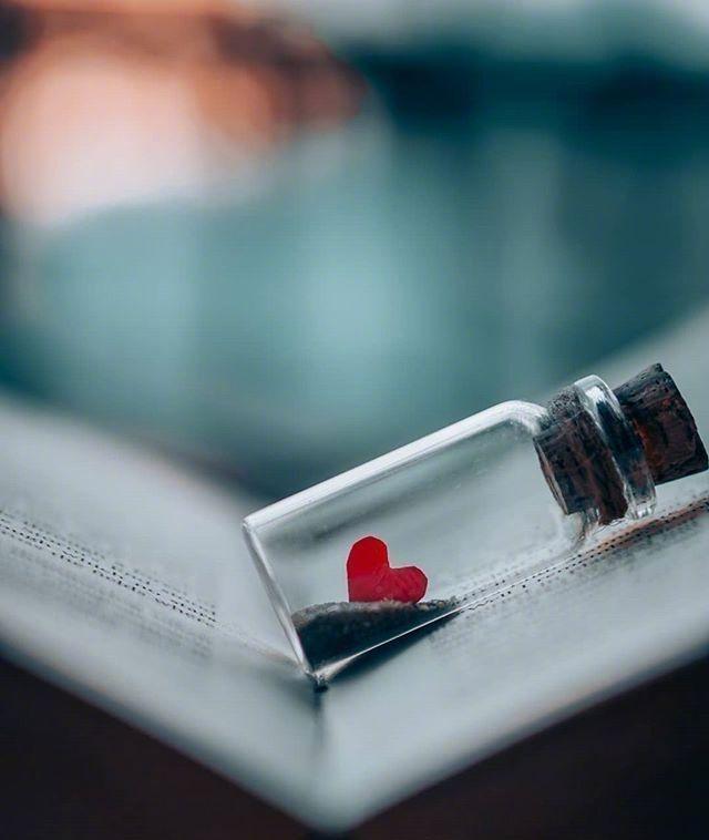 ֪�� ֪��  ԭ���׷� 234531clvfdl3lzowzdohh