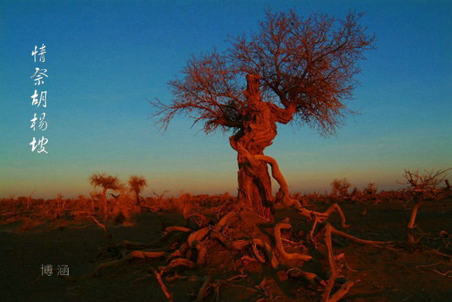 1555728951949372.jpg 1555728951949372.jpg