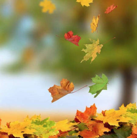 ʮ  ѣף ʮ Ͻ 181934kk66ttmcun77zcu8