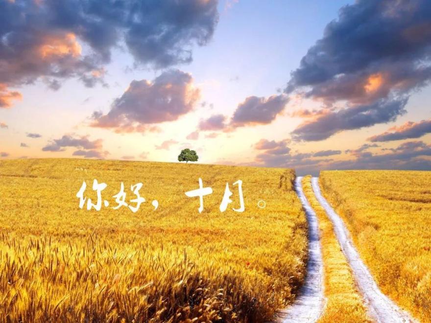 дʮµһʫ д,ʮ ִʫ 215630ooblvgzsgqglqsvb