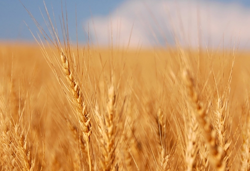 â  ִʫ 094659bbczja9ajmfbf75z