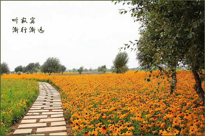 įнԶ į,нԶ ɢ 151459n42rm1qpzvsqvmaa