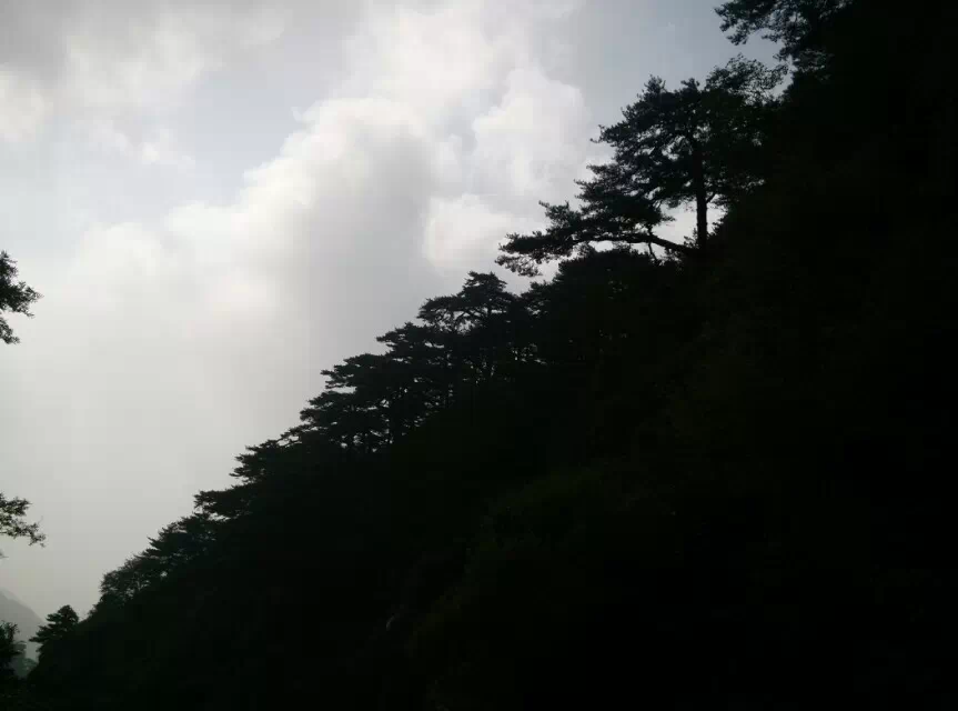 ̩ɽ ̩ɽ Ͻ 212515msl9gm2s8nunbg3n