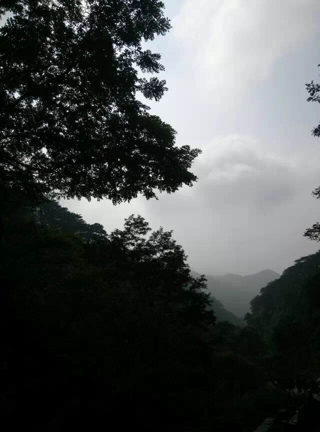 ̩ɽ ̩ɽ Ͻ 212516m1lqveeplaqyc3pe