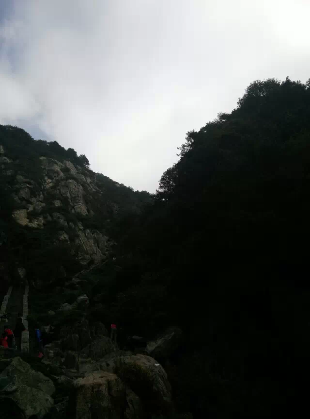 ̩ɽ ̩ɽ Ͻ 212517v1r0e1tc6ye0r100