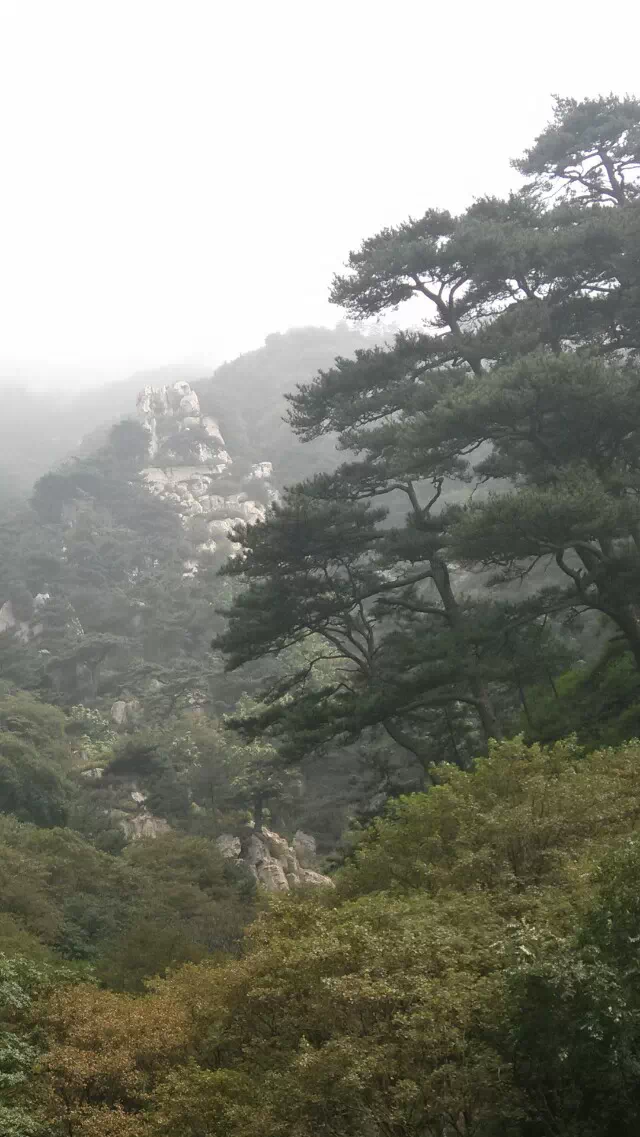 ̩ɽ ̩ɽ Ͻ 213503f1qzgkz31pqz5mwk