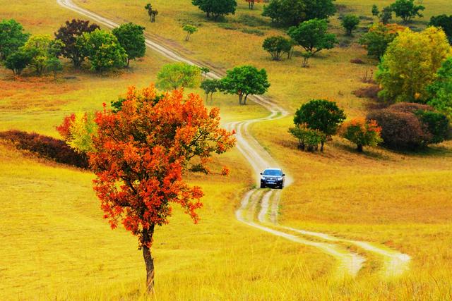 ҹꡤϷ ҹ Ͻ 190722awe0vvk0kzdk2tdn