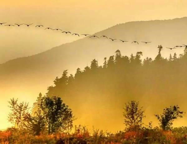 ɳ  ˼ϣ ɳ,˼ Ͻ 131037abttgotx92t1qthb