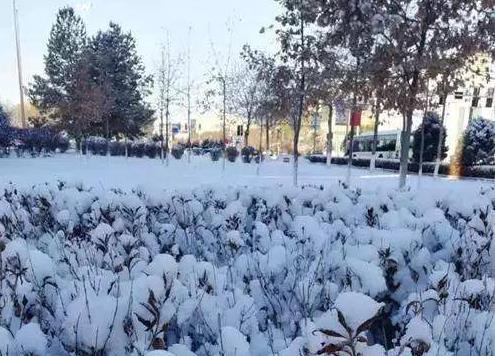 ׯûڳ ,ׯ,û, ִʫ 194959zkff3sffiwp65b14