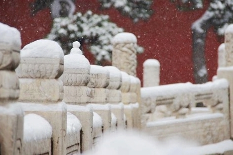 ǵѩ  ԭ׷ 211429kkqp2zhg771zwtzs