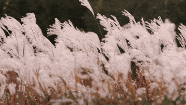 «έ «έ ִʫ 142127hkgduktgg8xo58xu