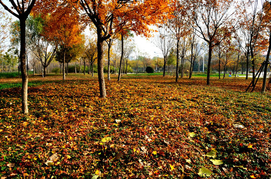   ǧѰ ,,ǧѰ Ͻ 124703o79hh2zwri97w47w