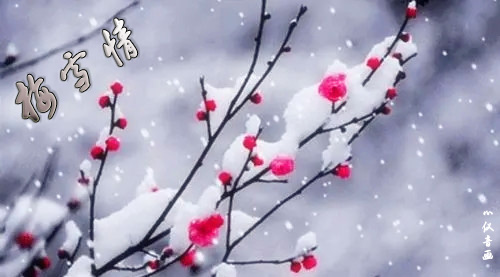 ѩɡ÷ѩ ÷ѩ Ͻ 114852qpo4scq6k69z6zd6