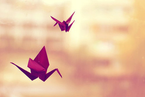 ˣǵü ǵ ɢ 091501sopeaoafbtq5wao5