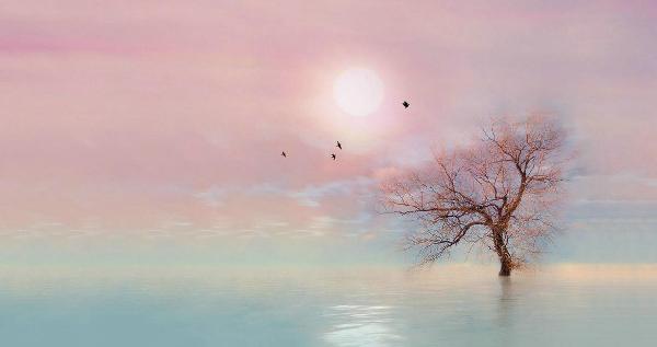 ǻƻ裬Գ ƻ, ɢ 091758fhxztmgqet4a46xp