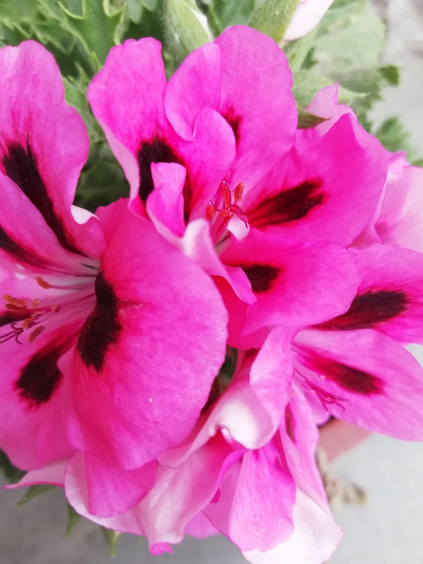 ѩ ѩ, ִʫ 230312m4hwpnaf8xwu0ffi