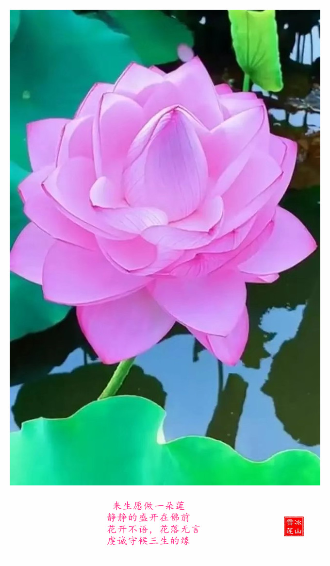 ߾ ߾ Ͻ 181732xnec3ddo1krk64pr