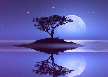 ˭Ӹ , ִʫ 120536pwszmqz80sst38ew