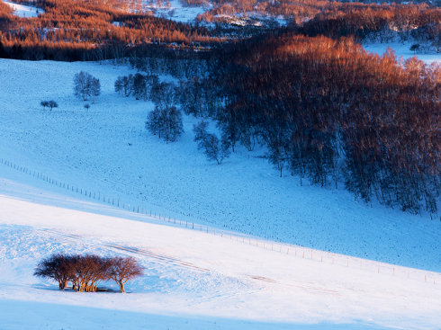 src=http _s4.sinaimg.cn_bmiddle_001XaMgdzy6PQ9PaCC713&amp;690&amp;refer=http _s4.sin.jpg