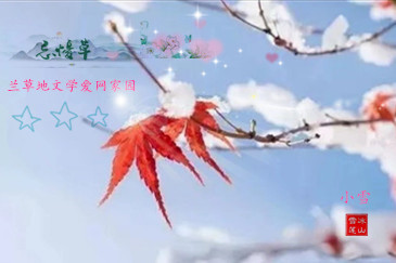 ·ѩ  ԭ׷ 233109gd2kzifq9k5pdpad