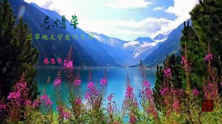 һЦ̺ һ,Ц Ͻ 132426b4v7wqn8iryiibkz