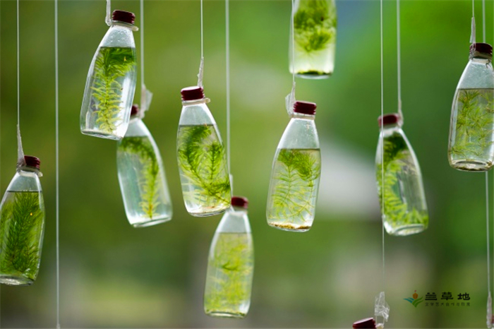 ٽɡ ٽ, Ͻ 171447lnmyusnuombmsjnr