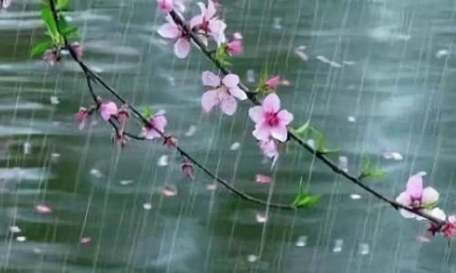   ִʫ 143041wfz7yx5rt9ljxzz5