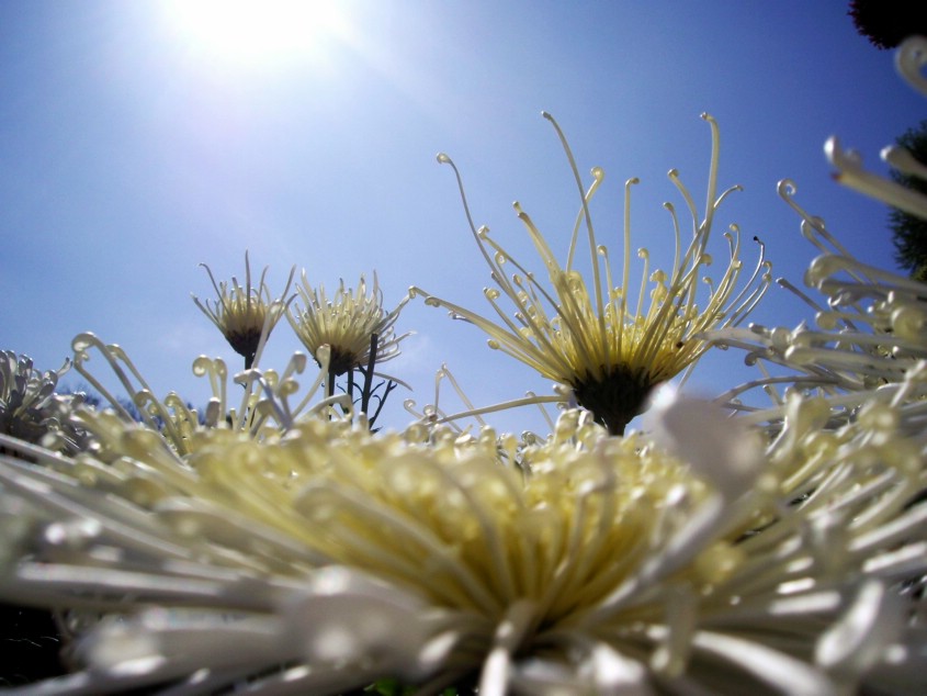 ߾ʮ•ӽ   ƽˮ ߾,ʮ,ӽ,,ƽˮ Ͻ 151003x3333dww88iw30cd