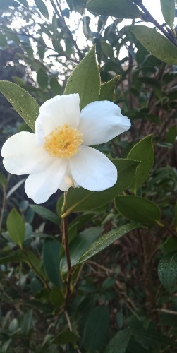 ̸̸ֻ꣬ů ,ֻ,,̸̸,ů ԭ׷ 082050unjujpn2z5knnyyu