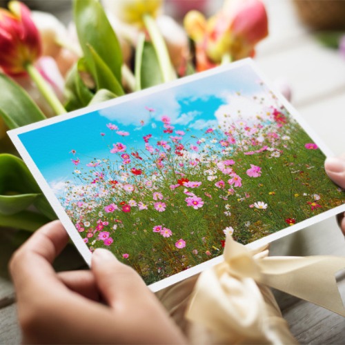 㽵ľ , ɢ 141233lf0mdgpx8qf8fprd