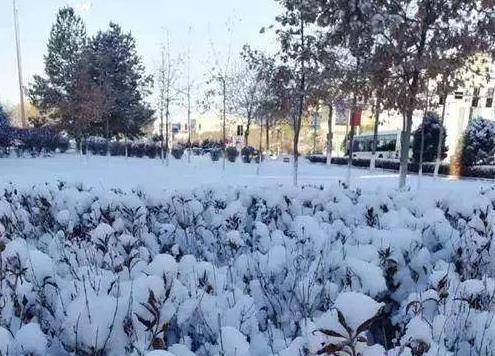 ʫ|ʫ |ҹĺ ʫ,,,ҹ ѧ 185005aakkkgbbgo3gh7aj