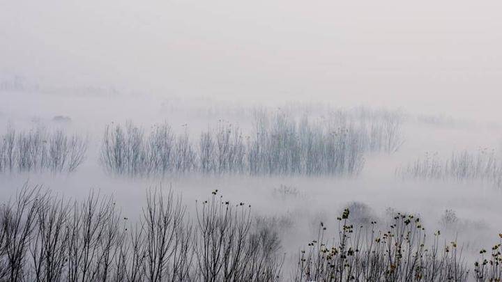 ʫ|ʫ |ҹĺ ʫ,,,ҹ ѧ 185006ct46667mjz787mgg