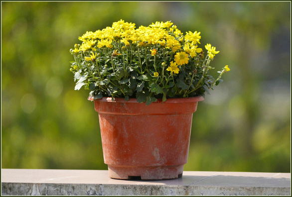 ҹ  ӽ ҹ Ͻ 131202izlkdz2ll6xkedkq