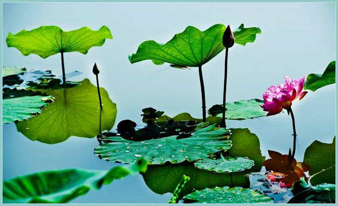 ֮  ִʫ 132005l21g9st9miihv6hi