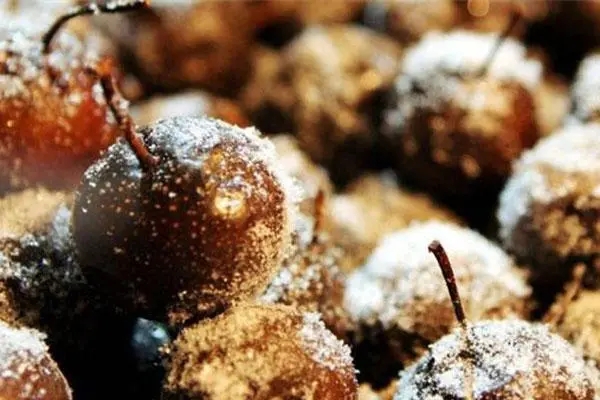 ҹ衤ضϵ֮ ض,ϵ Ͻ 185528uo0ow6ags1a7otg7